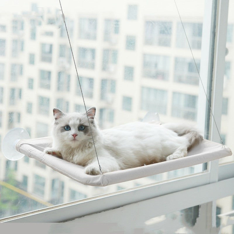 Sunbathing Spot Cats Will Love! - Panda Bossino