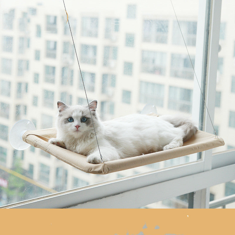 Sunbathing Spot Cats Will Love! - Panda Bossino