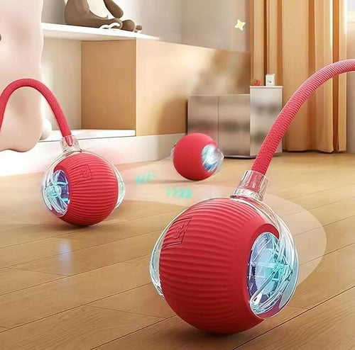 Chirp & Chase: The Ultimate Cat Toy Ball - Panda Bossino