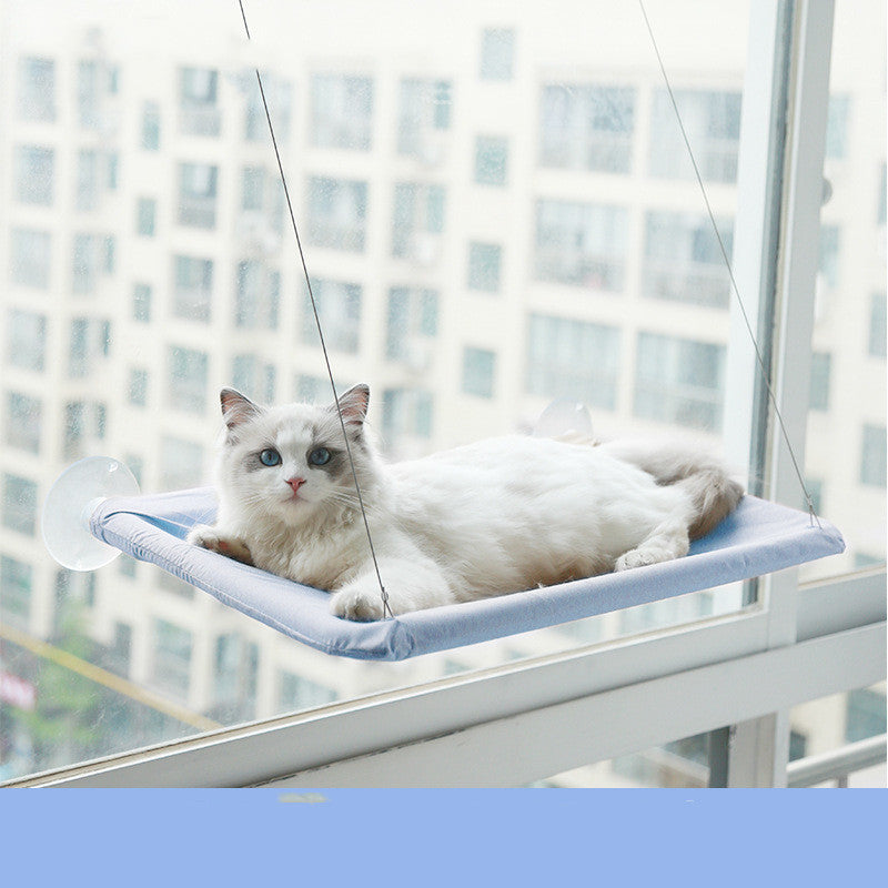 Sunbathing Spot Cats Will Love! - Panda Bossino