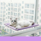Sunbathing Spot Cats Will Love! - Panda Bossino