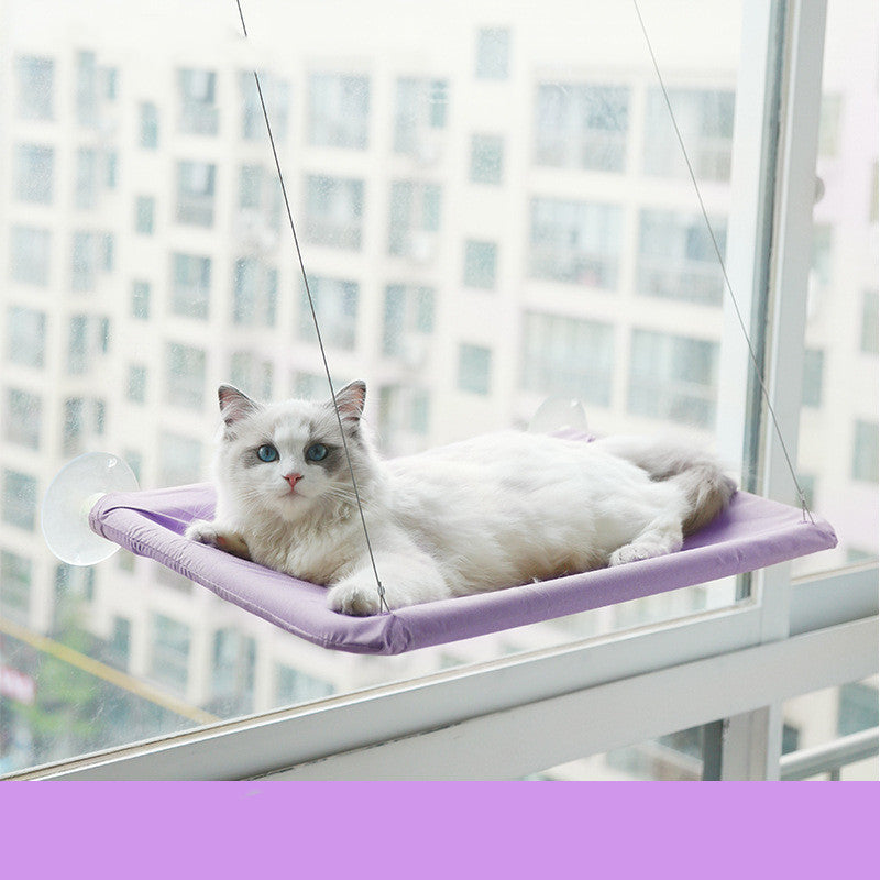 Sunbathing Spot Cats Will Love! - Panda Bossino