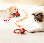Chirp & Chase: The Ultimate Cat Toy Ball - Panda Bossino