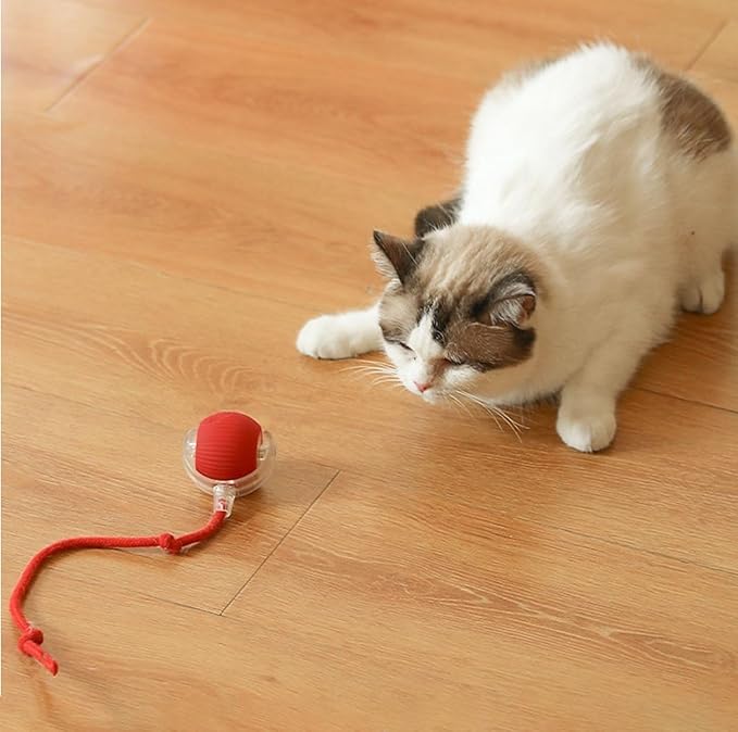Chirp & Chase: The Ultimate Cat Toy Ball - Panda Bossino