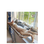 Sunbathing Spot Cats Will Love! - Panda Bossino