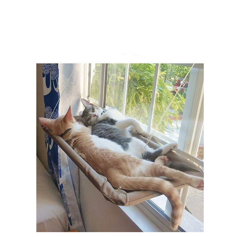 Sunbathing Spot Cats Will Love! - Panda Bossino