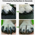 PandaBossino PawCare Pro™ - Panda Bossino