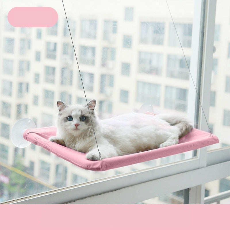 Sunbathing Spot Cats Will Love! - Panda Bossino