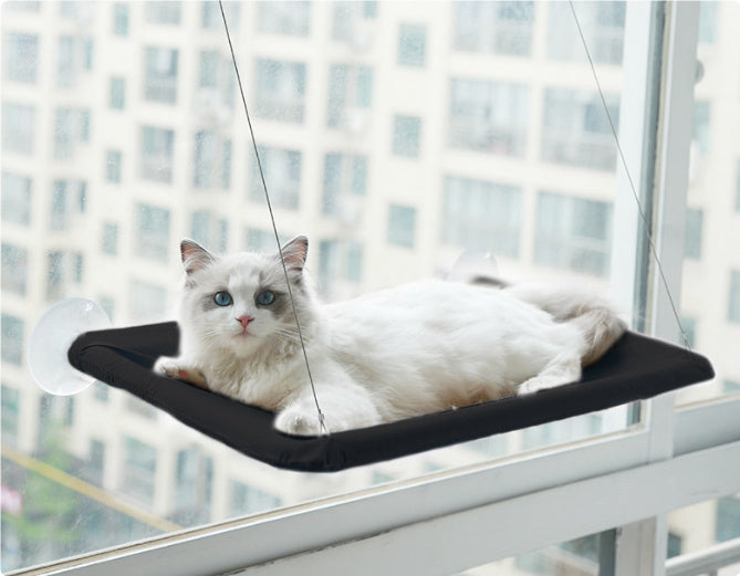 Sunbathing Spot Cats Will Love! - Panda Bossino